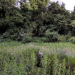 Holywell Fen or St Thomas's Well