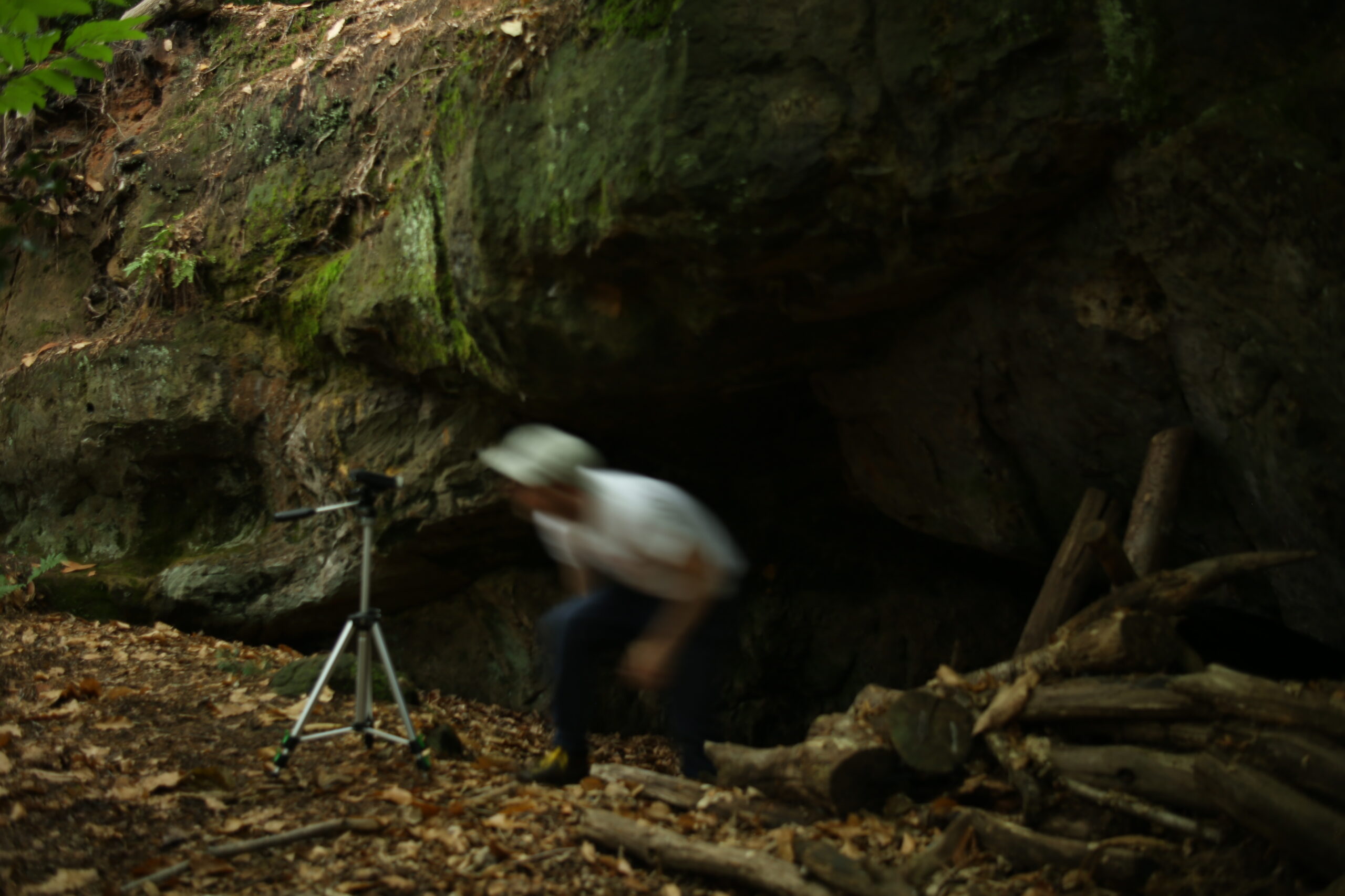 Lithoscapes